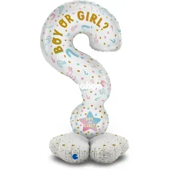 Знак вопроса &laquo;boy or girl&raquo; 3207-3592 фото